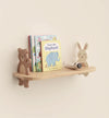 StoryWave Shelf