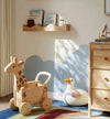 Peek-a-Box Storage