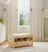 TidyBox Chest